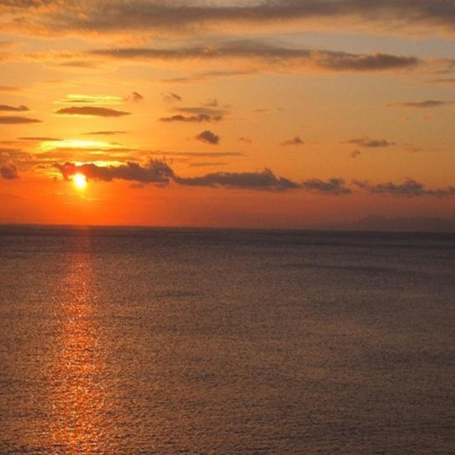 森の入り江の離れ宿 無雙庵枇杷 Izu  Exteriér fotografie